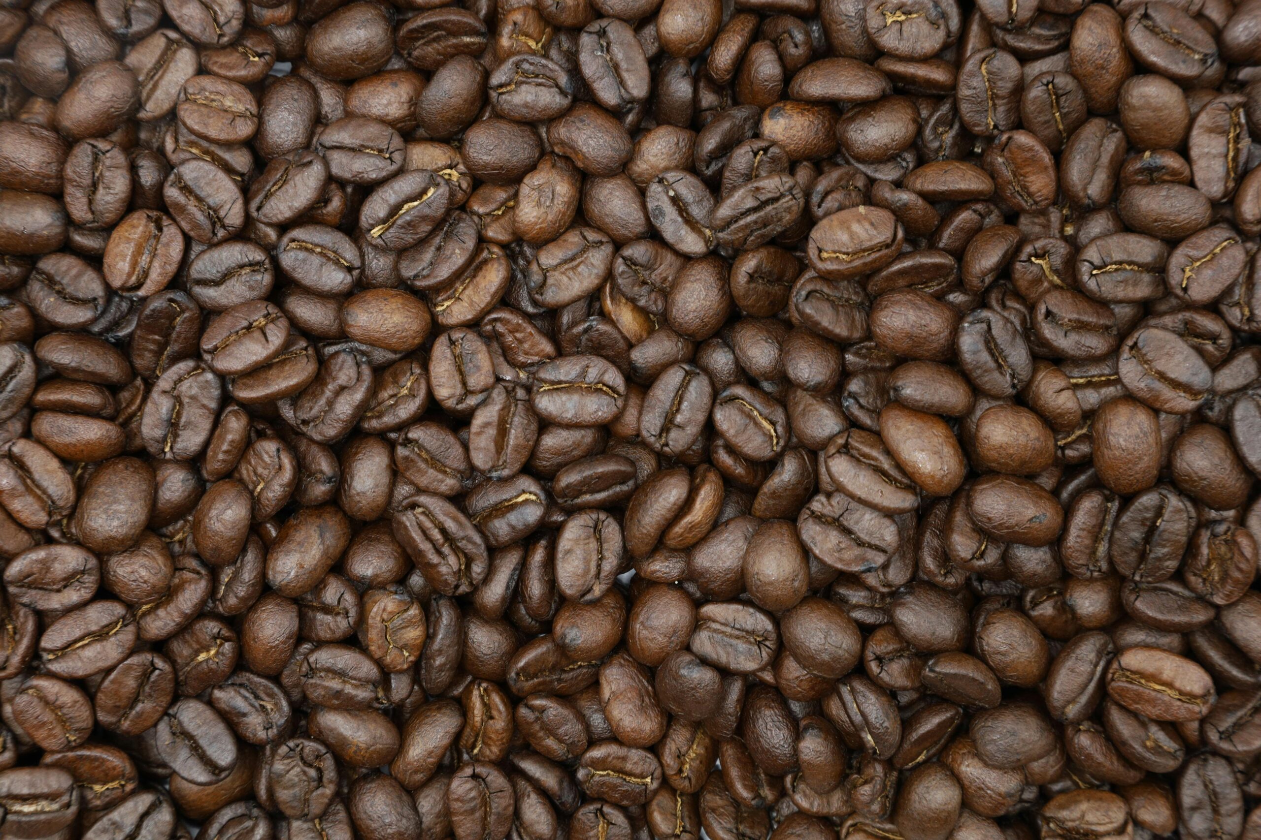 Coffee Seeds