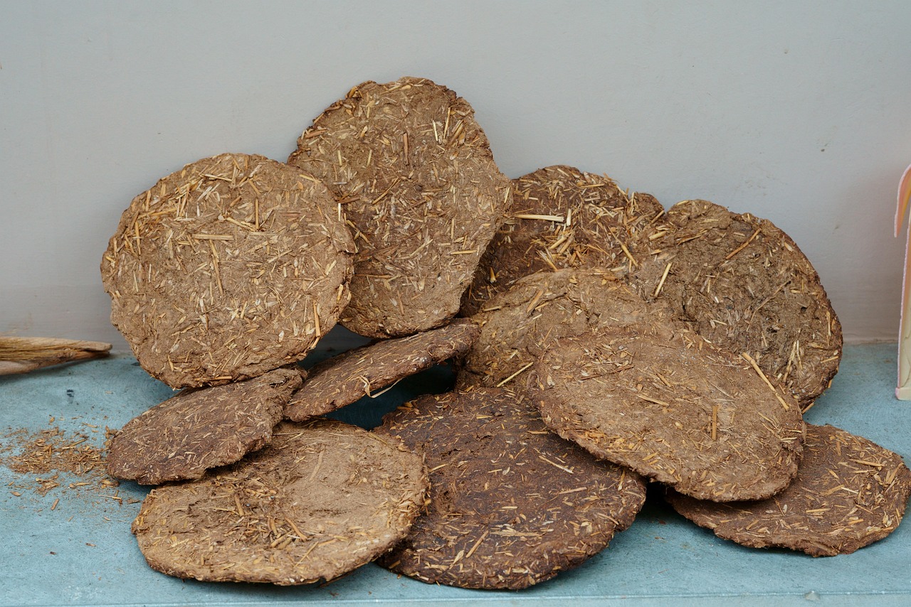Cow Dung Cakes