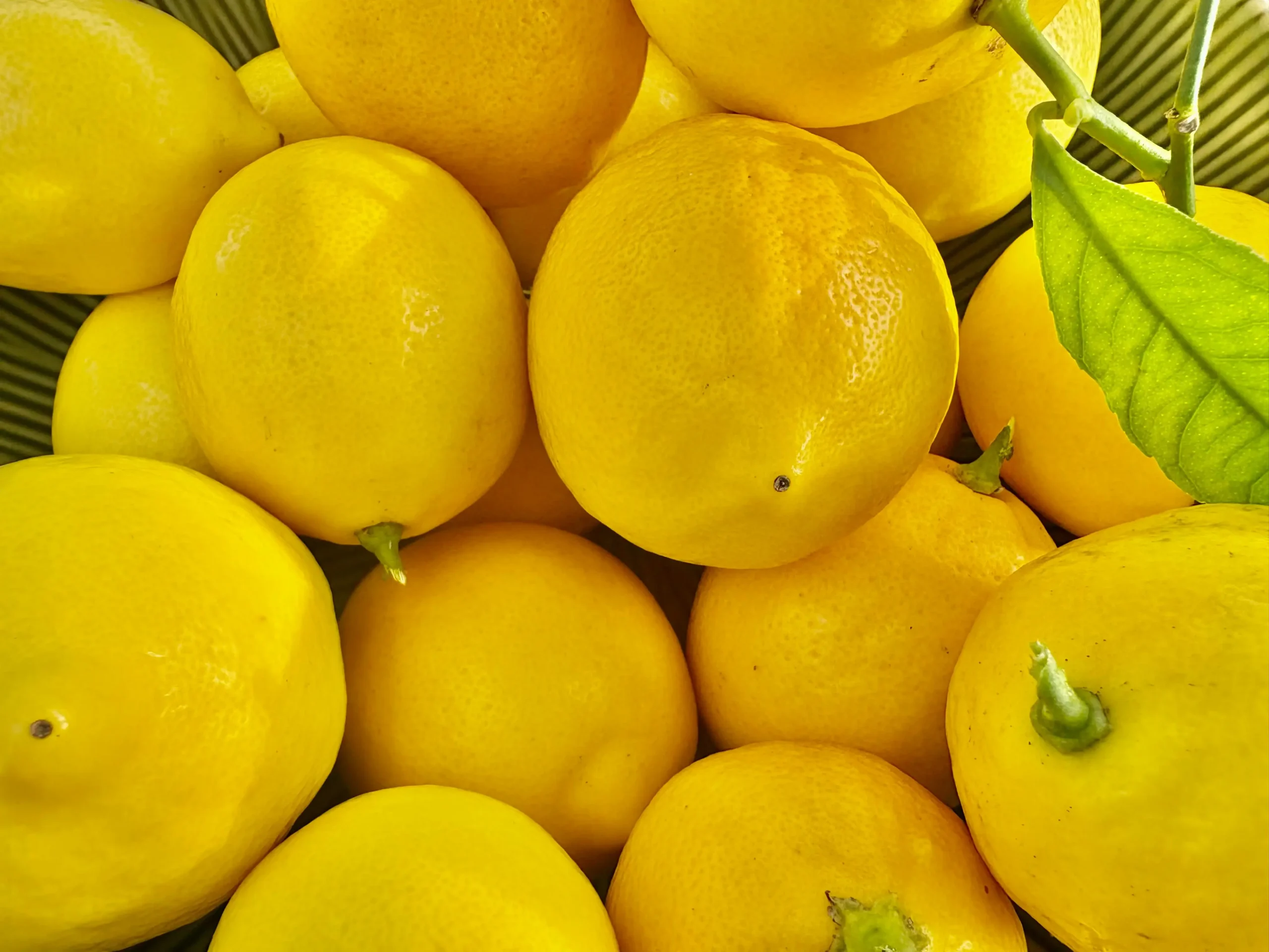Lemon_new